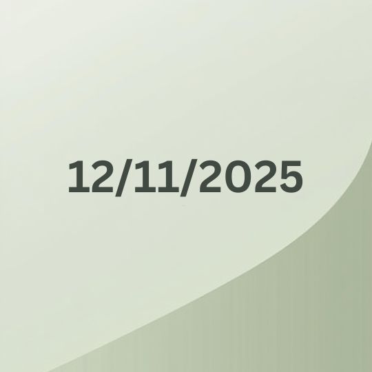 The date
                        12/11/2025 on a grey background