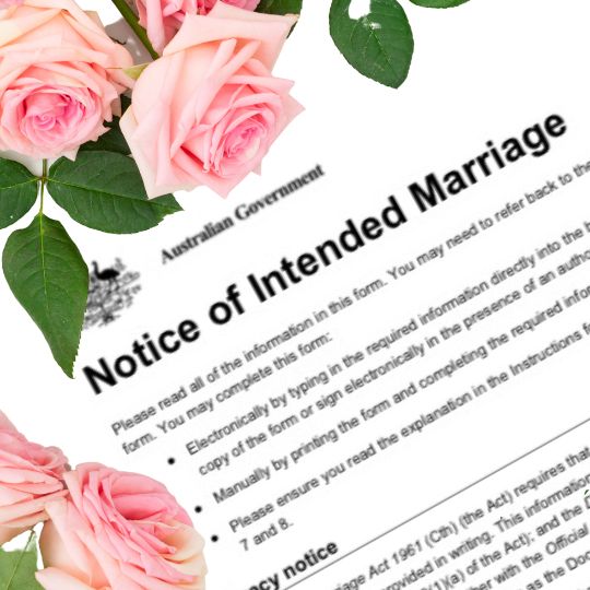 First page of
                      the Notice of Intended Marriage with pink roses
                      lying on it.