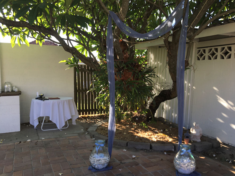 Frangipani Tree draped with fabric to create
                      a ceremony backdrop